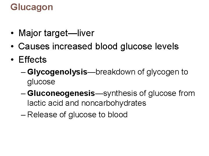 Glucagon • Major target—liver • Causes increased blood glucose levels • Effects – Glycogenolysis—breakdown