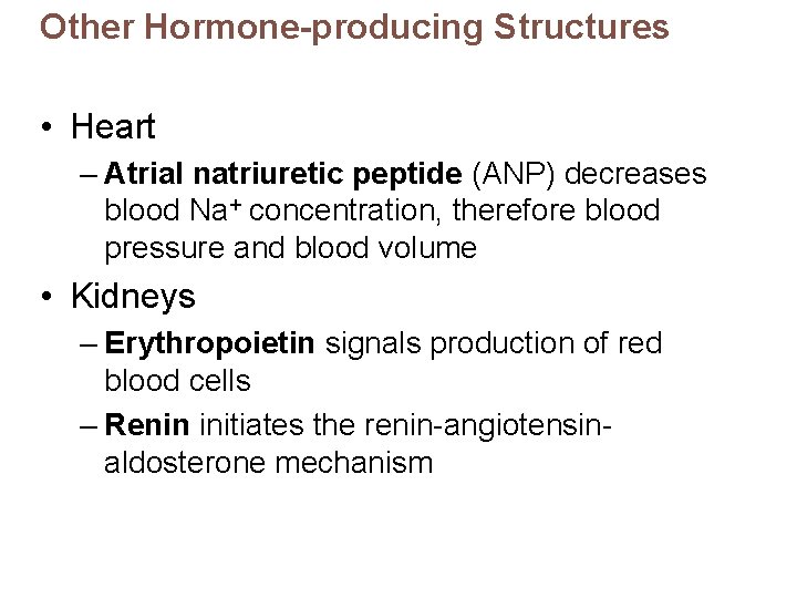Other Hormone-producing Structures • Heart – Atrial natriuretic peptide (ANP) decreases blood Na+ concentration,