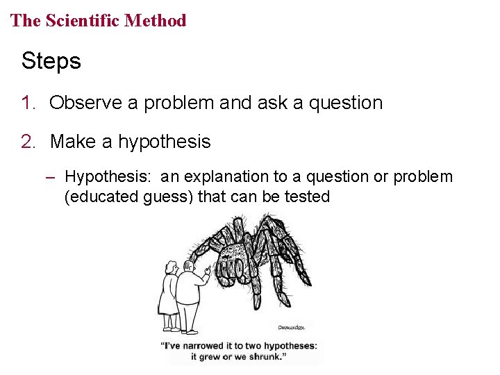 The Scientific Method Steps 1. Observe a problem and ask a question 2. Make