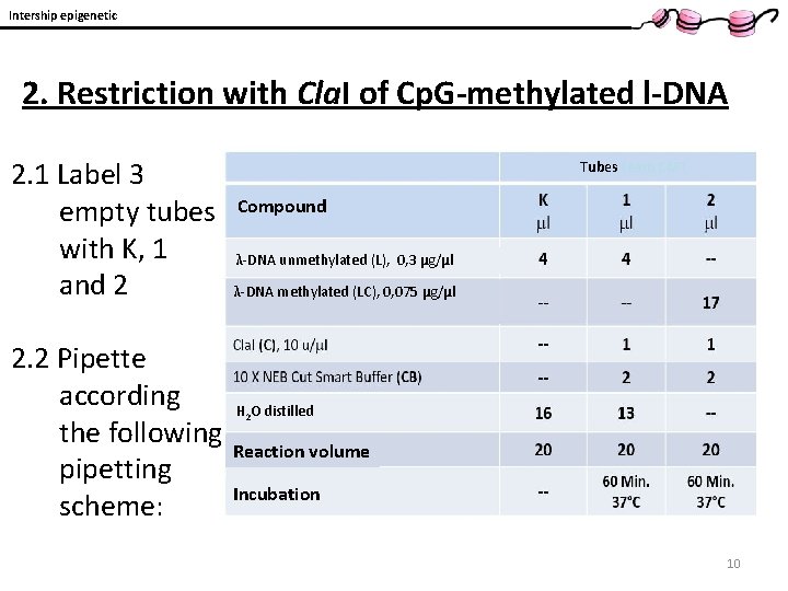 Intership epigenetic 2. Restriction with Cla. I of Cp. G-methylated l-DNA 2. 1 Label