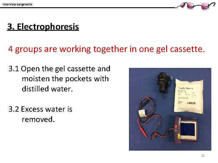 Intership epigenetic 3. Electrophoresis 4 groups are working together in one gel cassette. 3.