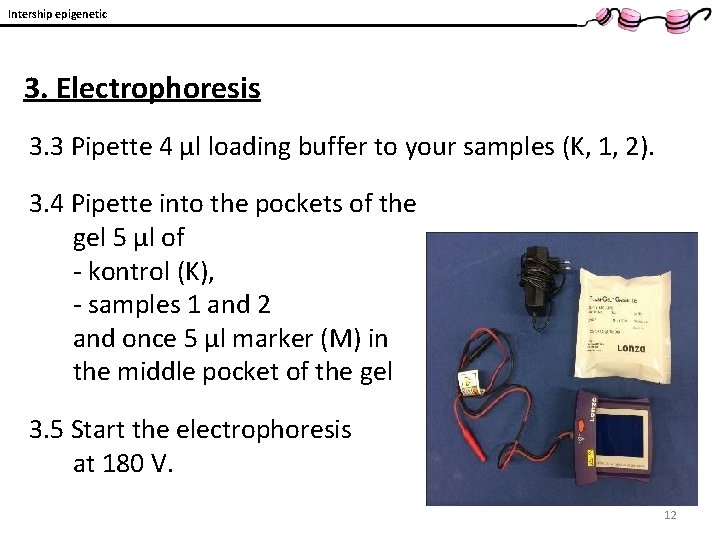 Intership epigenetic 3. Electrophoresis 3. 3 Pipette 4 μl loading buffer to your samples