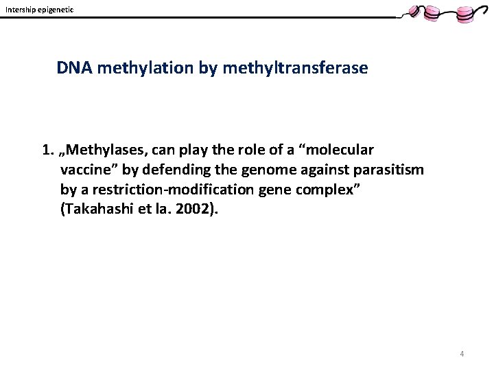 Intership epigenetic DNA methylation by methyltransferase 1. „Methylases, can play the role of a