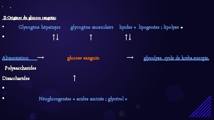  • II-Origines du glucose sanguin: • • Glycogène hépatique ↑↓ glycogène musculaire lipides