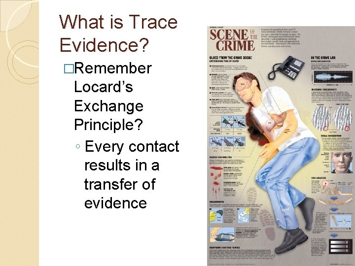 What is Trace Evidence? �Remember Locard’s Exchange Principle? ◦ Every contact results in a