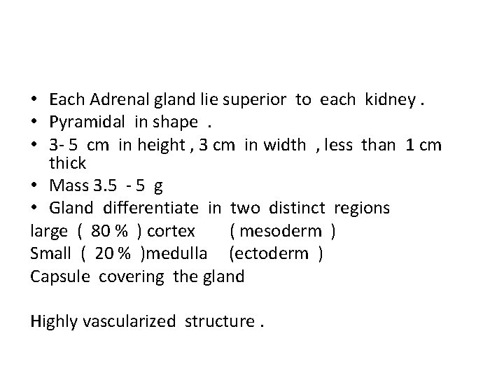  • Each Adrenal gland lie superior to each kidney. • Pyramidal in shape.