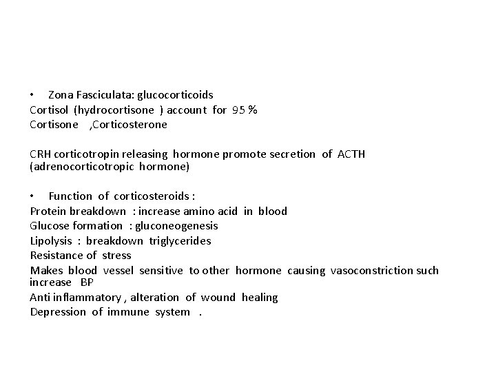  • Zona Fasciculata: glucocorticoids Cortisol (hydrocortisone ) account for 95 % Cortisone ,