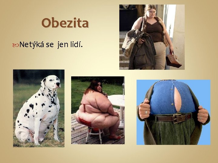 Obezita Netýká se jen lidí. 