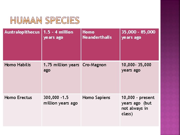 Australopithecus 1. 5 – 4 million years ago Homo Neanderthalis 35, 000 – 85,