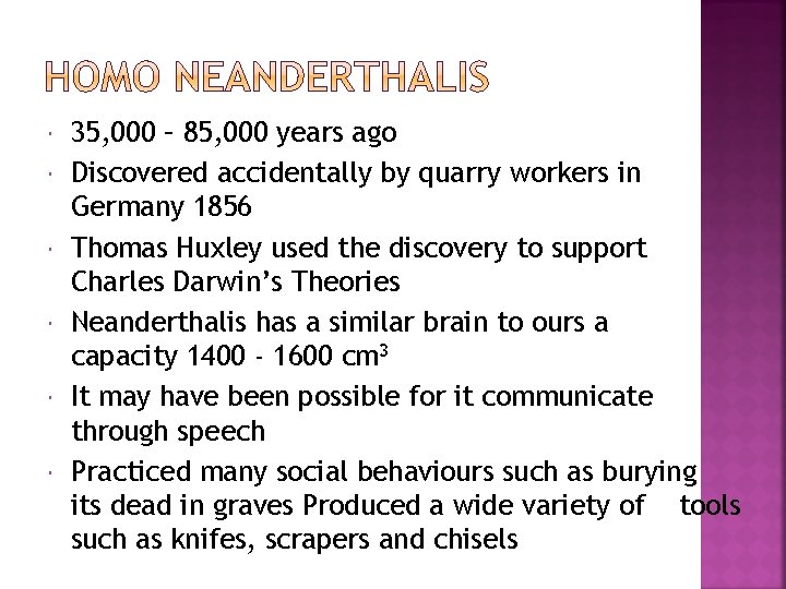  35, 000 – 85, 000 years ago Discovered accidentally by quarry workers in