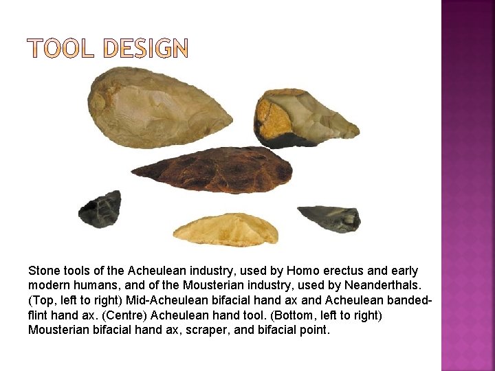 Stone tools of the Acheulean industry, used by Homo erectus and early modern humans,