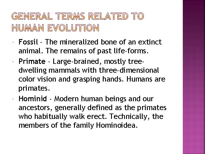  Fossil - The mineralized bone of an extinct animal. The remains of past