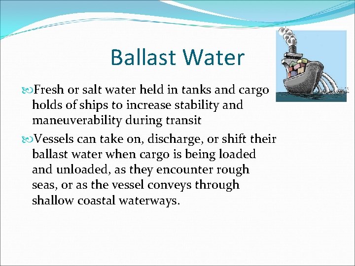 Ballast Water Fresh or salt water held in tanks and cargo holds of ships