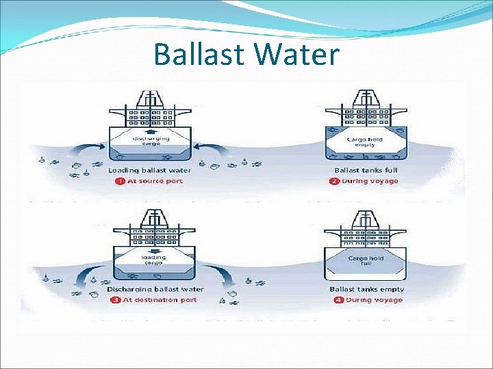 Ballast Water 