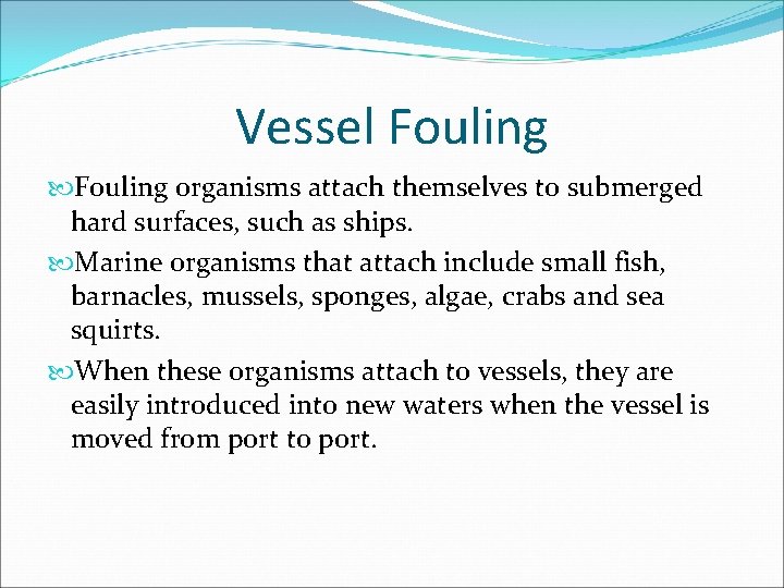 Vessel Fouling organisms attach themselves to submerged hard surfaces, such as ships. Marine organisms