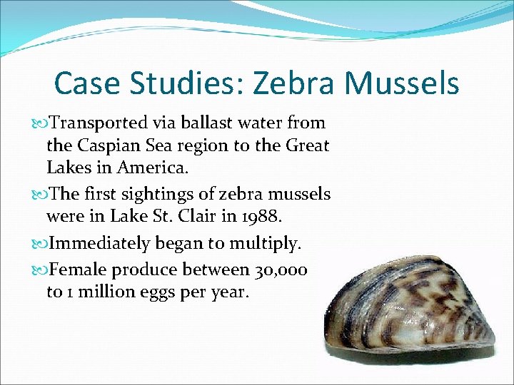 Case Studies: Zebra Mussels Transported via ballast water from the Caspian Sea region to