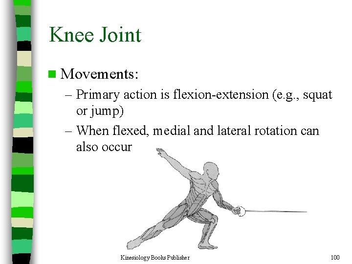 Knee Joint n Movements: – Primary action is flexion-extension (e. g. , squat or