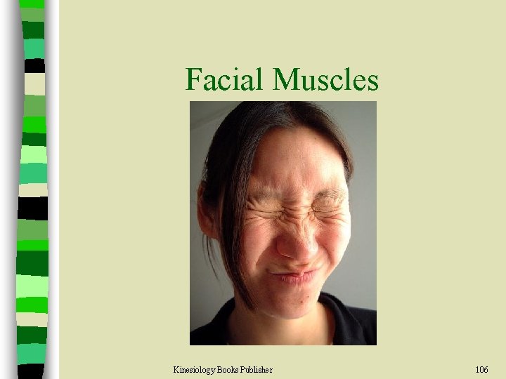 Facial Muscles Kinesiology Books Publisher 106 