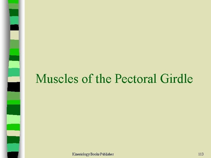 Muscles of the Pectoral Girdle Kinesiology Books Publisher 113 
