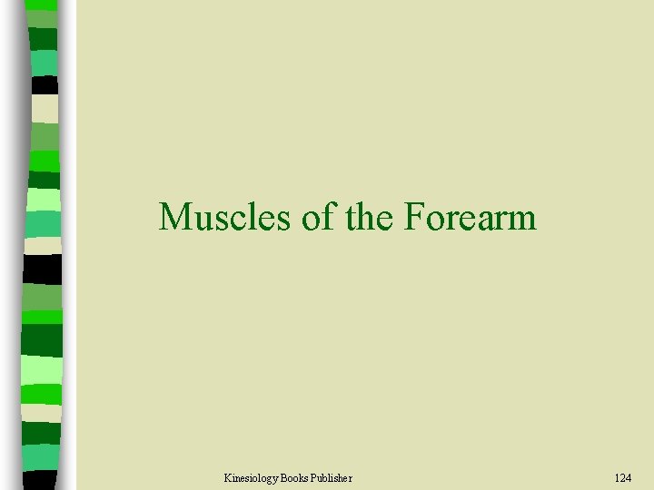 Muscles of the Forearm Kinesiology Books Publisher 124 