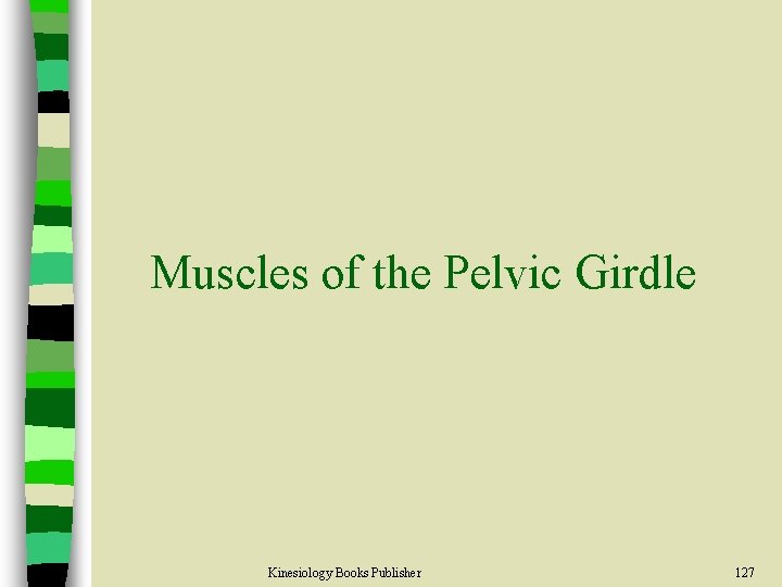 Muscles of the Pelvic Girdle Kinesiology Books Publisher 127 