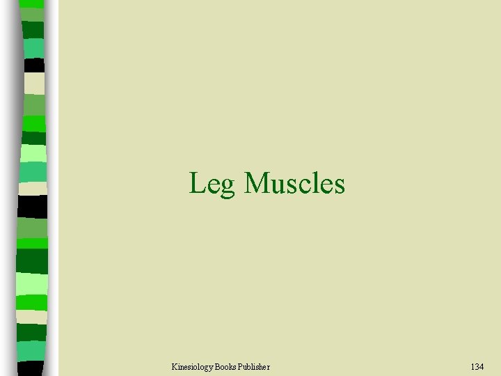 Leg Muscles Kinesiology Books Publisher 134 