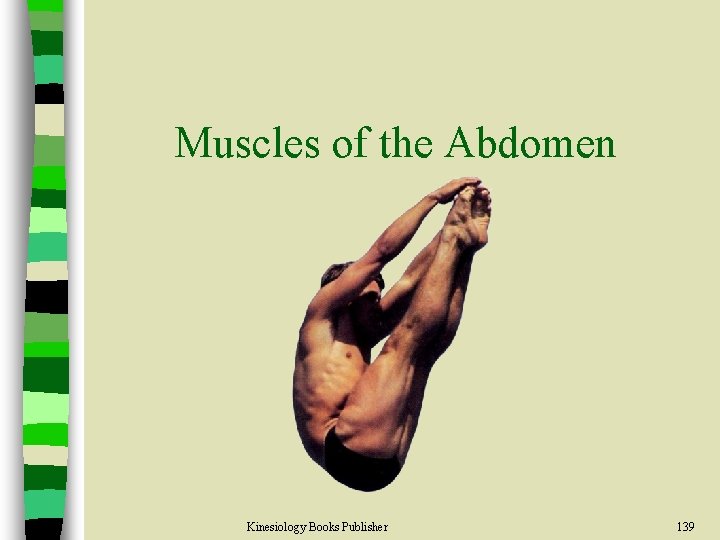 Muscles of the Abdomen Kinesiology Books Publisher 139 