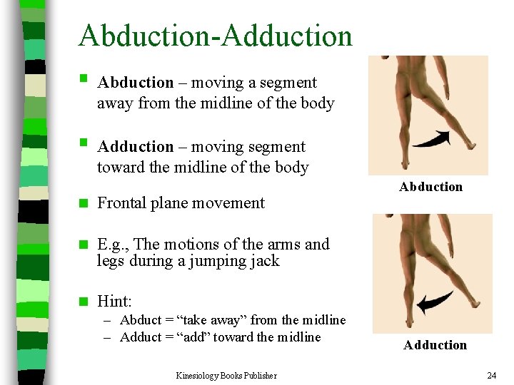 Abduction-Adduction § Abduction – moving a segment away from the midline of the body
