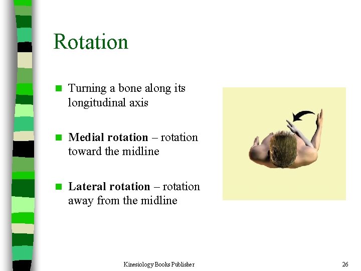Rotation n Turning a bone along its longitudinal axis n Medial rotation – rotation