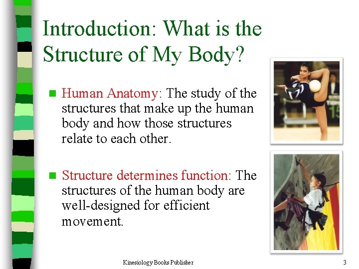 Introduction: What is the Structure of My Body? n Human Anatomy: The study of