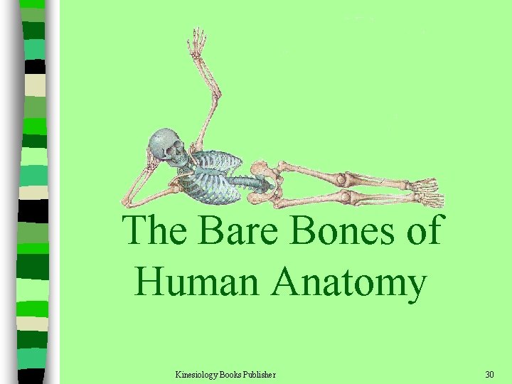 The Bare Bones of Human Anatomy Kinesiology Books Publisher 30 