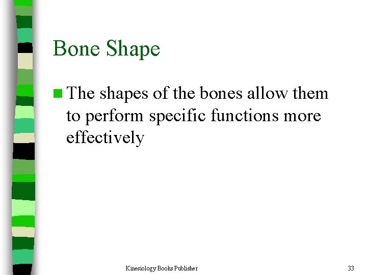 Bone Shape n The shapes of the bones allow them to perform specific functions