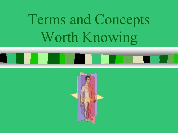 Terms and Concepts Worth Knowing 