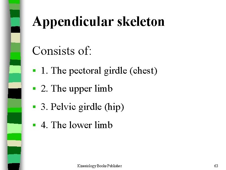 Appendicular skeleton Consists of: § 1. The pectoral girdle (chest) § 2. The upper