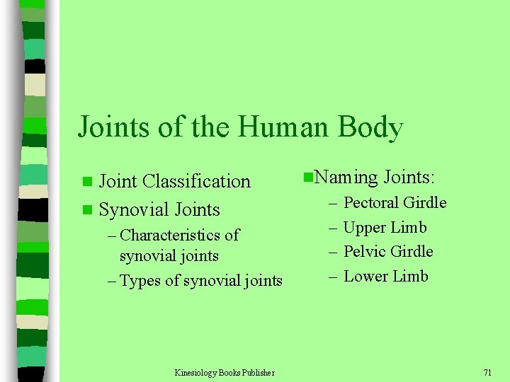 Joints of the Human Body Joint Classification n Synovial Joints n – Characteristics of