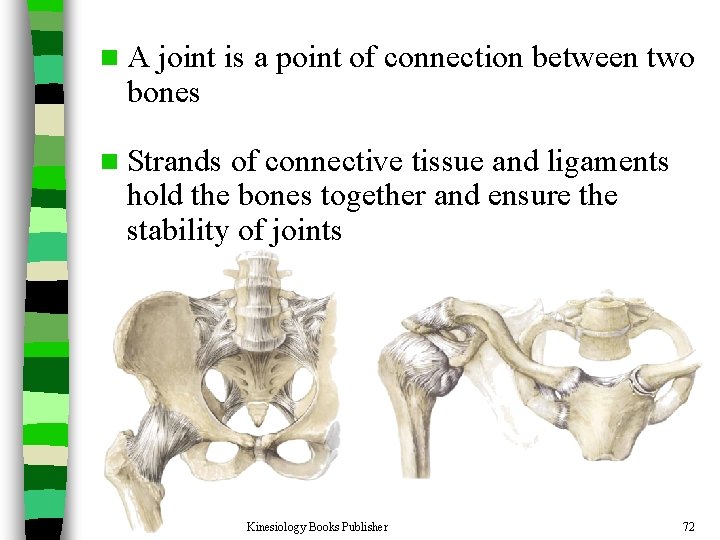 n. A joint is a point of connection between two bones n Strands of