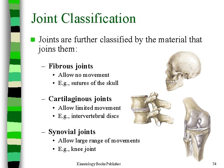 Joint Classification n Joints are further classified by the material that joins them: –