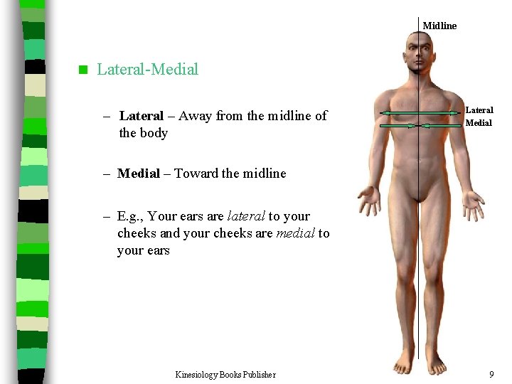 Midline n Lateral-Medial – Lateral – Away from the midline of the body Lateral