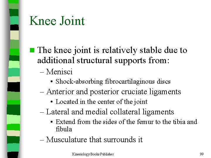 Knee Joint n The knee joint is relatively stable due to additional structural supports