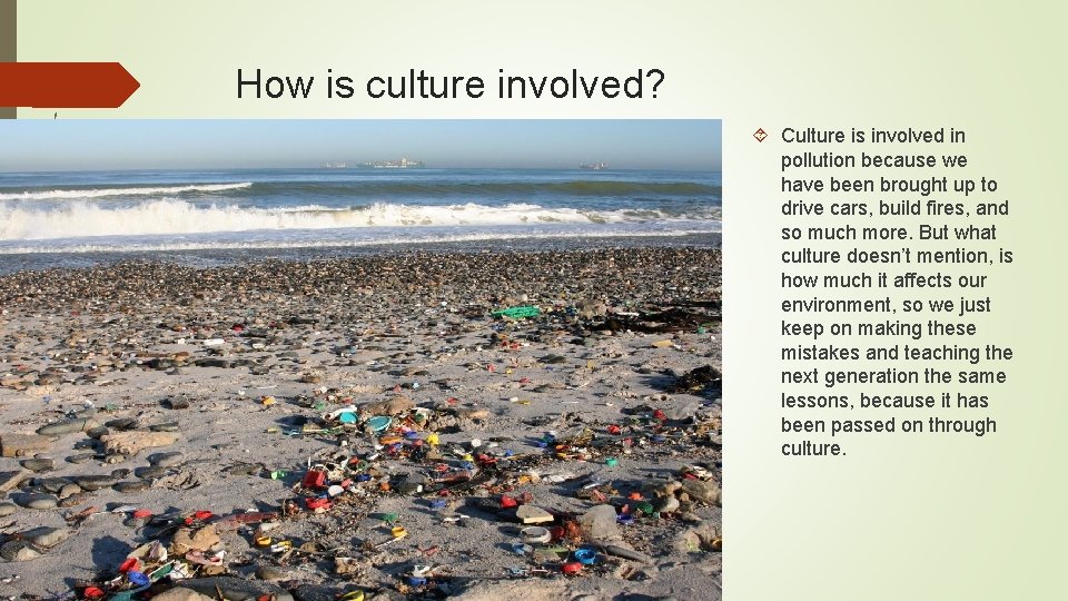 How is culture involved? Culture is involved in pollution because we have been brought