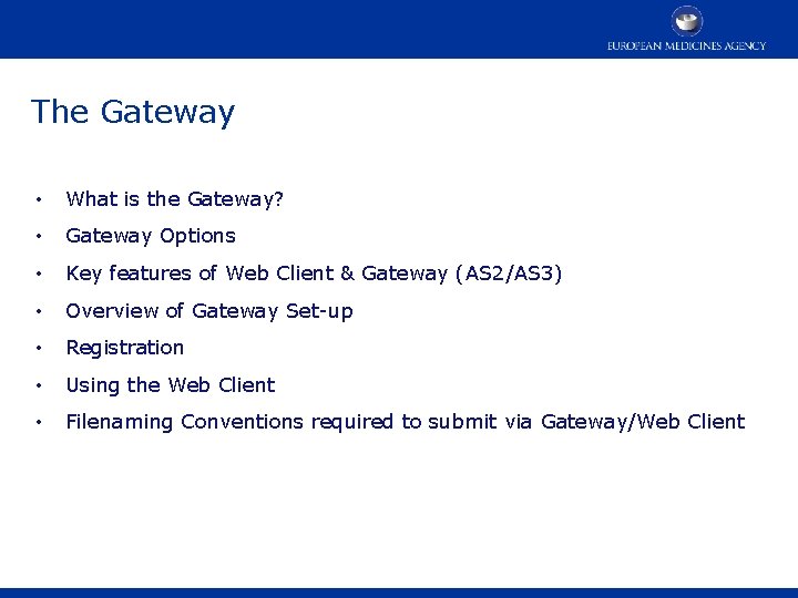 The Gateway • What is the Gateway? • Gateway Options • Key features of