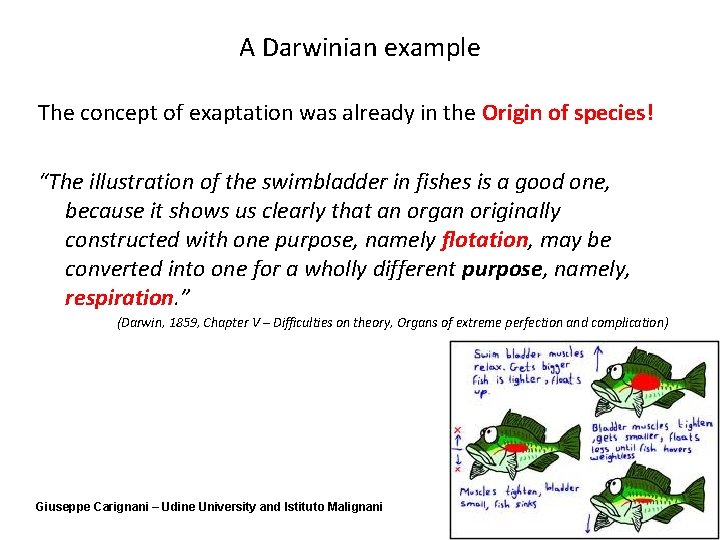 A Darwinian example The concept of exaptation was already in the Origin of species!