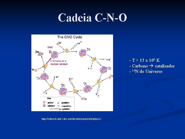 Cadeia C-N-O - T > 15 x 106 K - Carbono catalisador - 14
