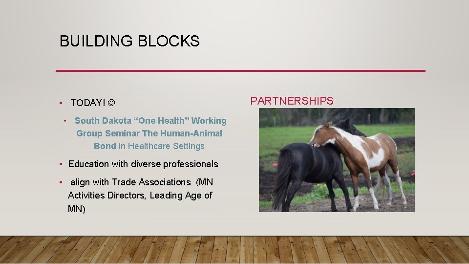 BUILDING BLOCKS • TODAY! • South Dakota “One Health” Working Group Seminar The Human-Animal