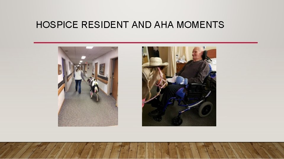 HOSPICE RESIDENT AND AHA MOMENTS 