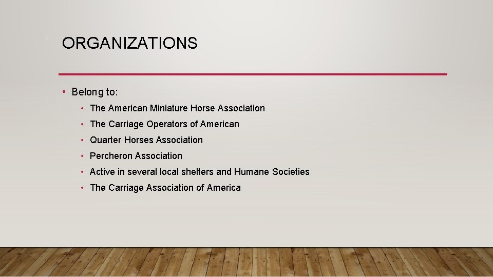 6 ORGANIZATIONS • Belong to: • The American Miniature Horse Association • The Carriage