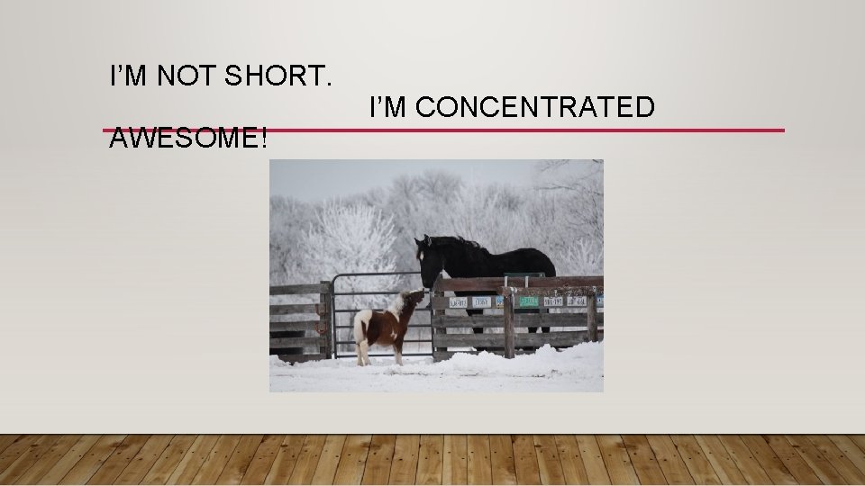 I’M NOT SHORT. AWESOME! I’M CONCENTRATED 