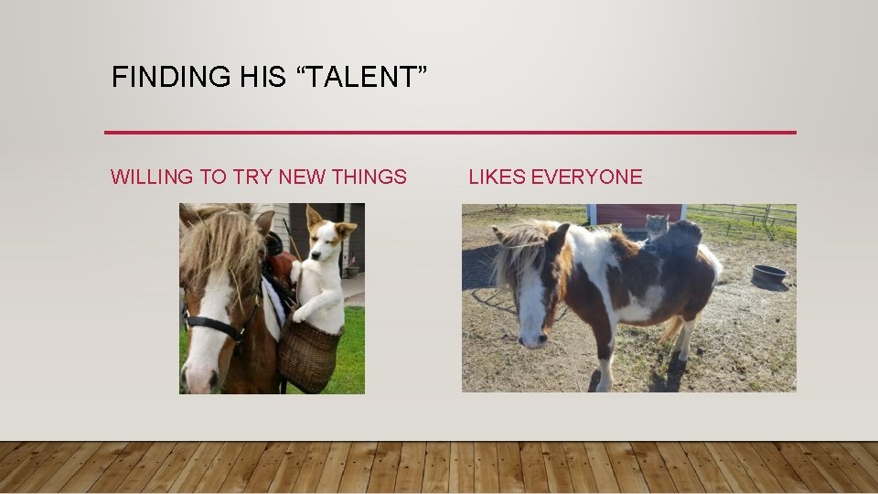 FINDING HIS “TALENT” WILLING TO TRY NEW THINGS LIKES EVERYONE 