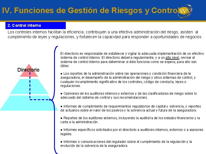 IV. Funciones de Gestión de Riesgos y Control 2. Control Interno Los controles internos