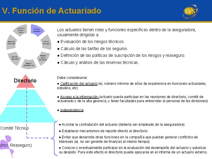 V. Función de Actuariado Los actuarios tienen roles y funciones específicas dentro de la